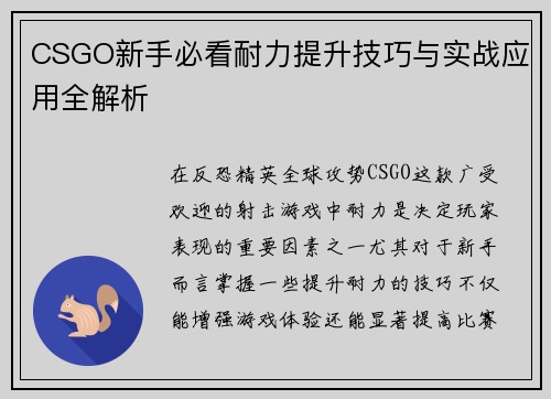 CSGO新手必看耐力提升技巧与实战应用全解析