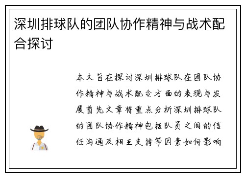 深圳排球队的团队协作精神与战术配合探讨